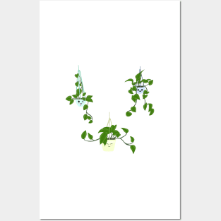 Hanging plant trio Posters and Art